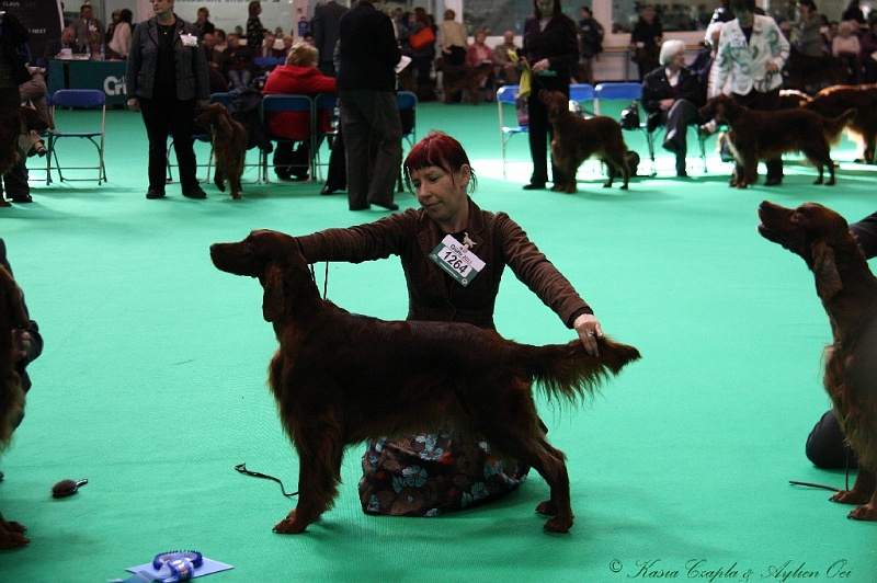 Crufts2011 646.jpg